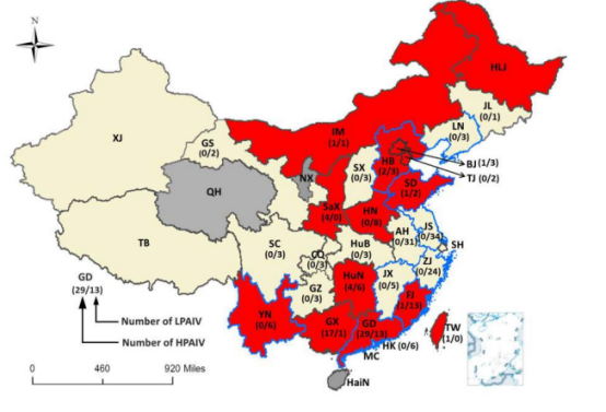 blob.png W020210111399228112311.png