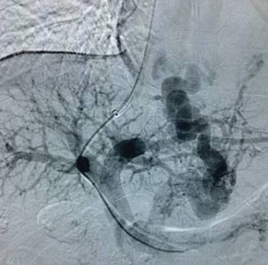 2.png W020210111396820880527.png