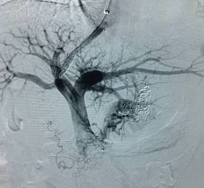 3.png W020210111396820955008.png