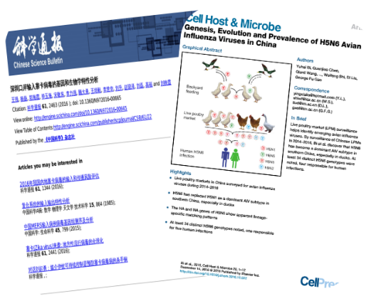 blob.png W020210111399250725162.png