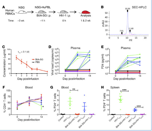 blob.png W020210111399172990415.png